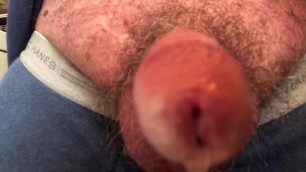 Eat my cock and balls